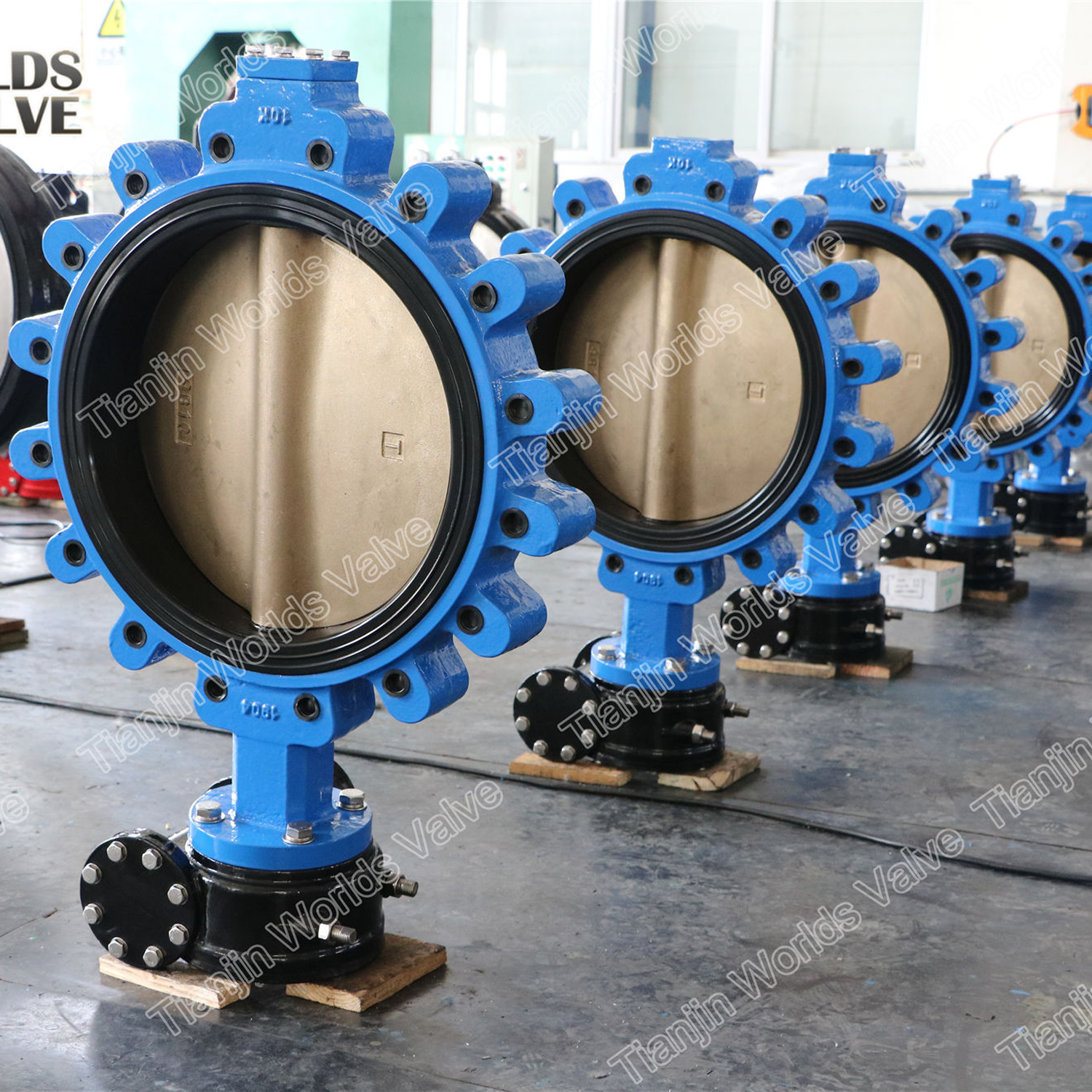 FC20 FCD40 JIS 5k 10k Butterfly Valve with Threaded Hole from China ...